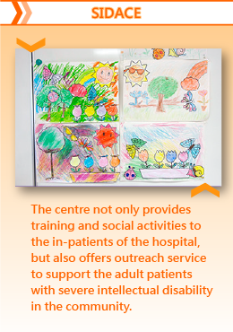 Severe Intellectual Disability Activity Centre of Excellence (SIDACE)