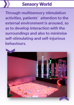 Sensory World
