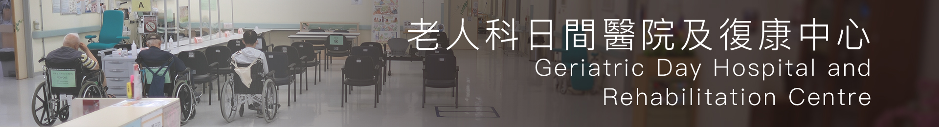 Hospital Geriatric Day Hospital and Rehabilitation Centre