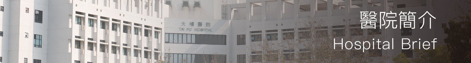 Hospital Brief