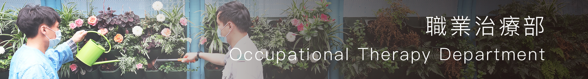Occupational Therapy Department