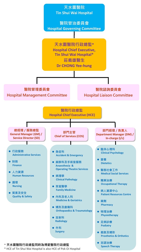 Hospital Management Structure