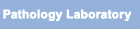 Pathology Laboratory